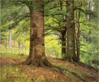Steele, Theodore Clement - Beech Trees